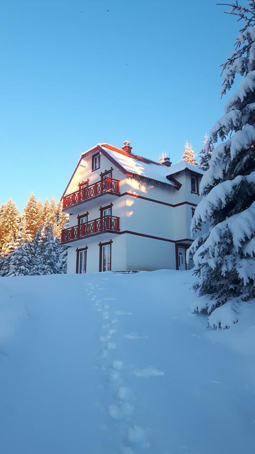 Vila Natasa Kopaonik Exterior foto